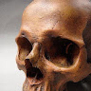 Meet your Posher, Vince